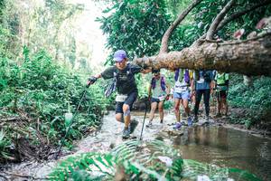 BIB: 
                            <button type="button" onclick="openModal(25469444)" class="btn btn-primary btn-sm float-right btn-popup" data-toggle="modal" data-target=".modal-high-quality">
                        <i class="fas fa-shopping-cart"></i> Add to Cart
                    </button>
                                            <button type="button" onclick="isThisMe(25469444, true)" class="btn btn-success btn-sm float-right btn-popup btn-isme hidden" data-toggle="tooltip" data-placement="bottom" title="นี่คือรูปของคุณใช่ไหม คลิกที่นี่เพื่อเอาเข้าอัลบั้ม">
                        <i class="fas fa-plus"></i> Add to album
                    </button>
                    <button type="button" onclick="isThisMe(25469444, false)" class="btn btn-warning btn-sm float-right btn-popup btn-isnotme hidden">
                        <i class="fas fa-ban"></i> Remove from album
                    </button>